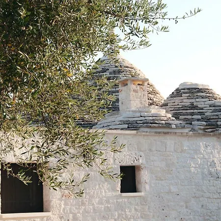 Trulli A Sud-est Alberobello